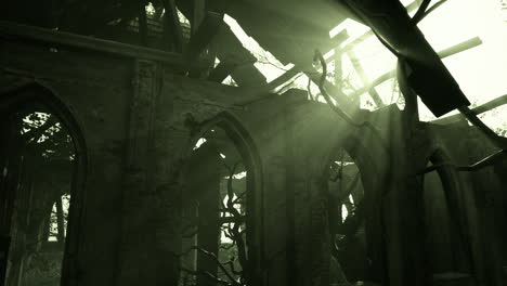sunlight illuminating ruined church
