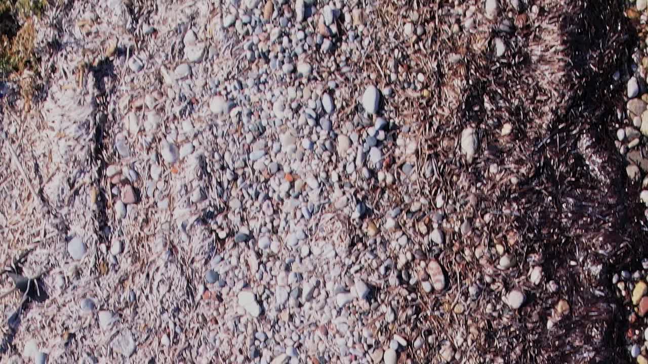 Pedras coloridas e algas na praia em Rodes, Grécia, durante o dia