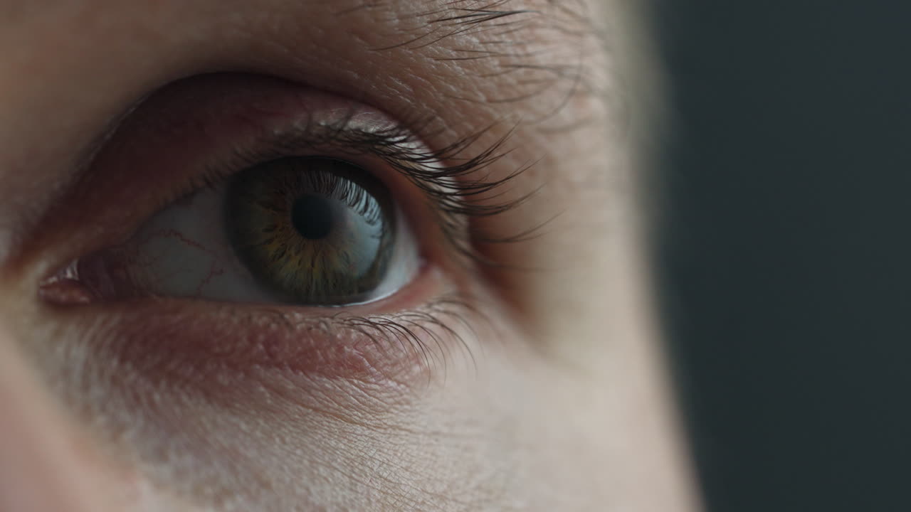 Detail Of Human Eye Looking Around - Eyesight. - closeup shot