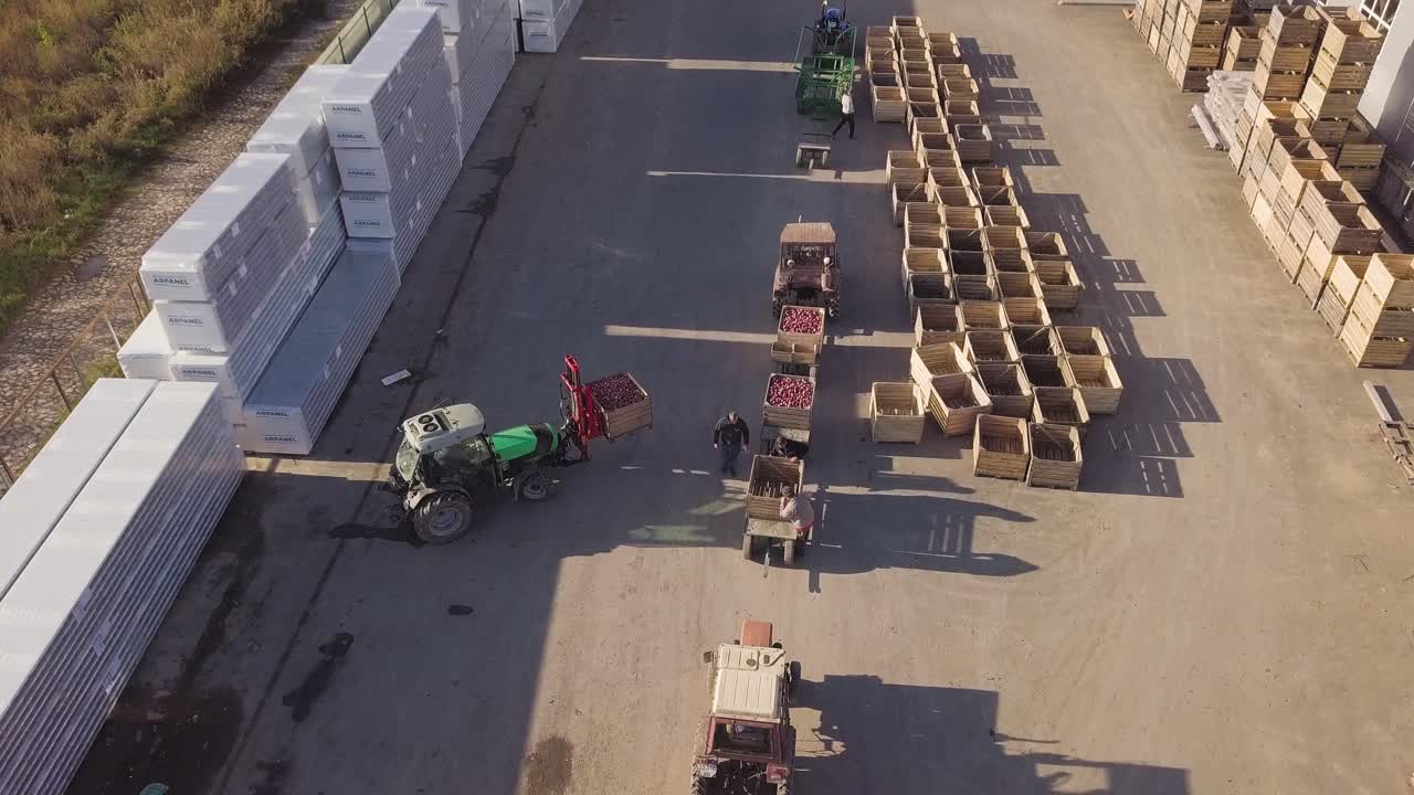 A tractor with a forklift picks up a wooden box with apples from a trailer and takes it to the factory premises. Production of fruit processing. Juice making.