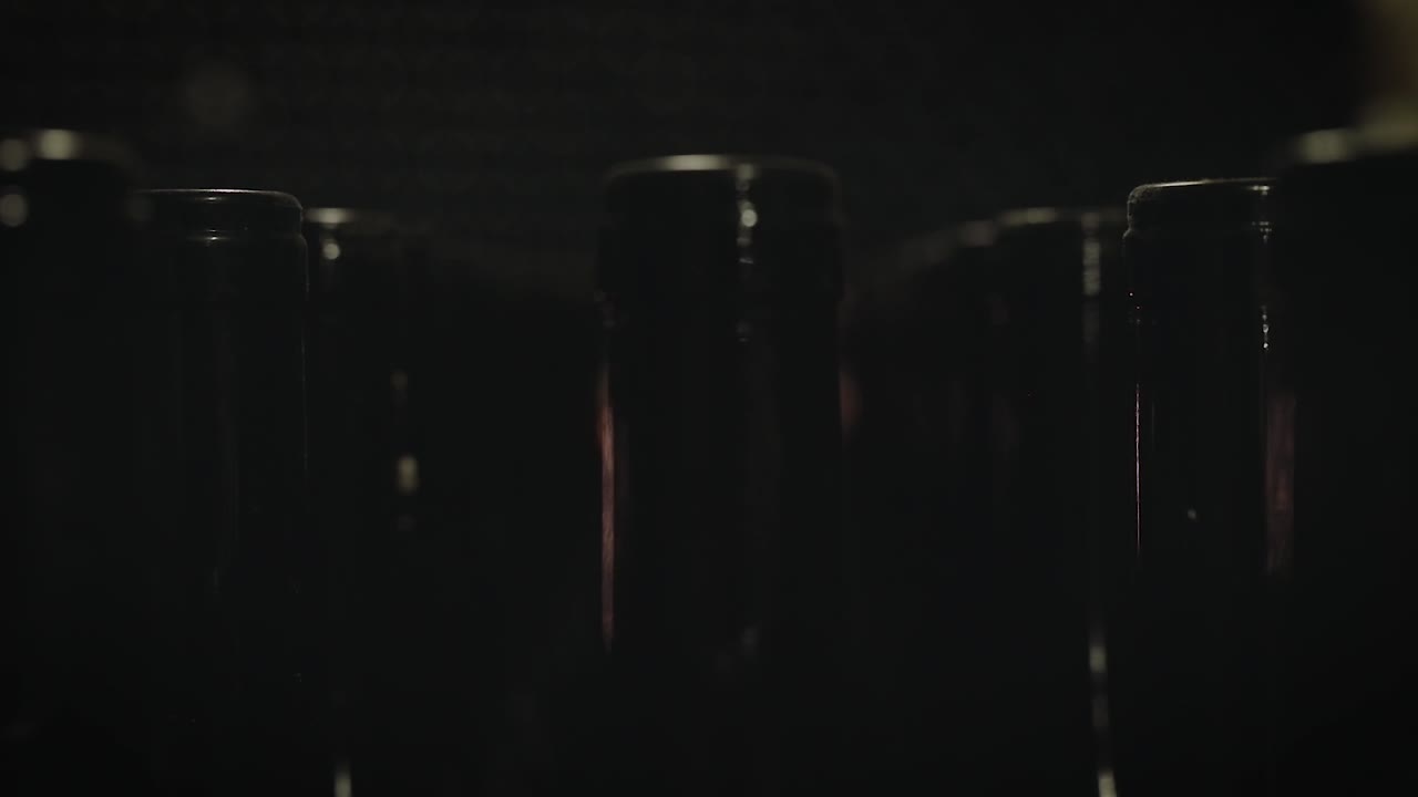 botellas de vino seguidas en un sótano, viñedo