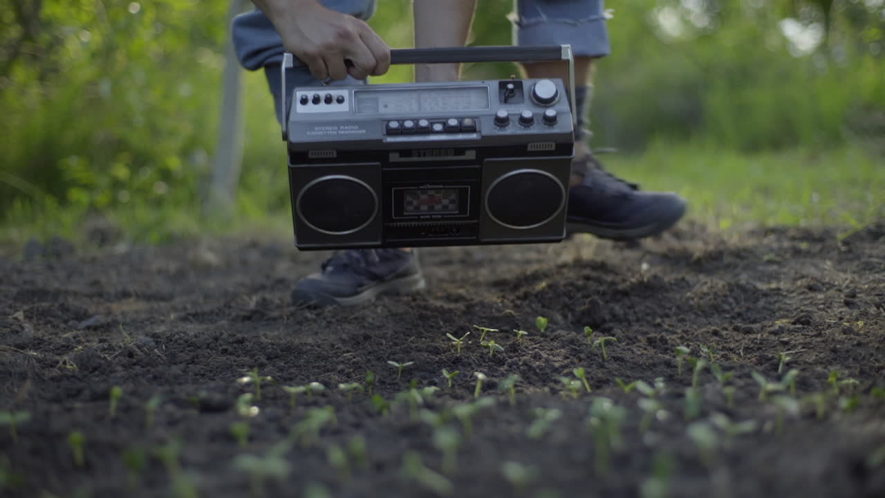 빈티지 라디오 카세트 플레이어에서 녹색 식물, 백라이트 핸드헬드 샷으로 음악을 연주하는 남성 농부