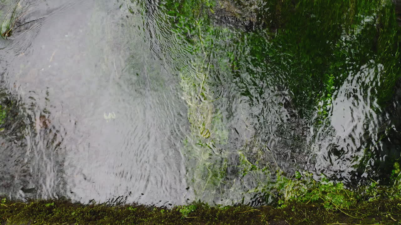 Stream Flowing In Old Growth Forest In Hall of Mosses Trailhead, Washington State, USA