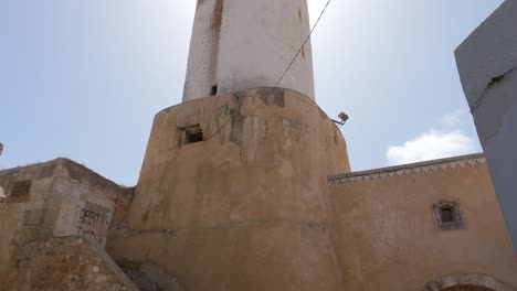 Standing-below-impressive-grand-mosque-of-mazagan,-tilt-up
