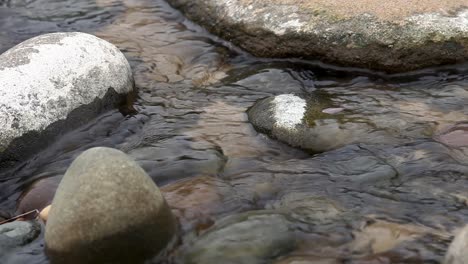 water running over river water rocks back into the ocean