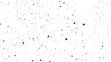 las partículas negras grandes y pequeñas se mueven caóticamente sobre un fondo blanco. hermoso bokeh monocromático