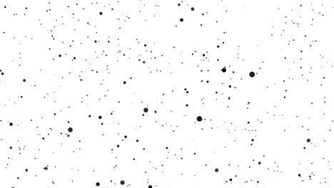 large and small black particles move chaotically on a white background. beautiful monochrome bokeh