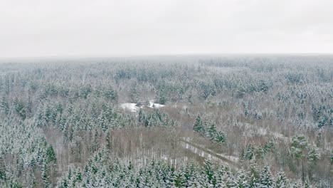 Panning-drone-shot-of-a-flight-over-a-snow-covered-and-partial-green-conifer-forest-with-a-bright-sky-at-a-beautiful-winter-season-day