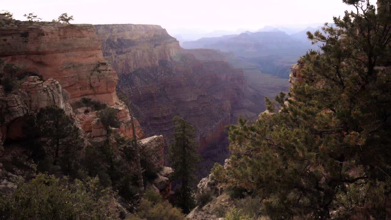 Grand Canyon at sunset with trees in foreground.