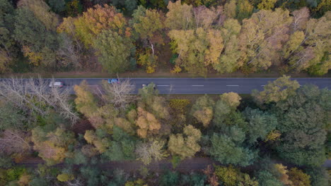 Vista-Desde-Arriba-De-Los-Automóviles-Circulando-Por-Una-Carretera-Flanqueada-Por-Coloridos-árboles-Otoñales