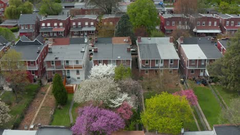 Tilt-up-reveals-colorful-flowering-trees-in-back-yards-during-spring-season