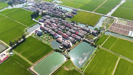 aerial view of a farming village in jiangsu province, china, featuring water ponds nearby, highlighting the rural landscape and the integration of agriculture with natural water sources.