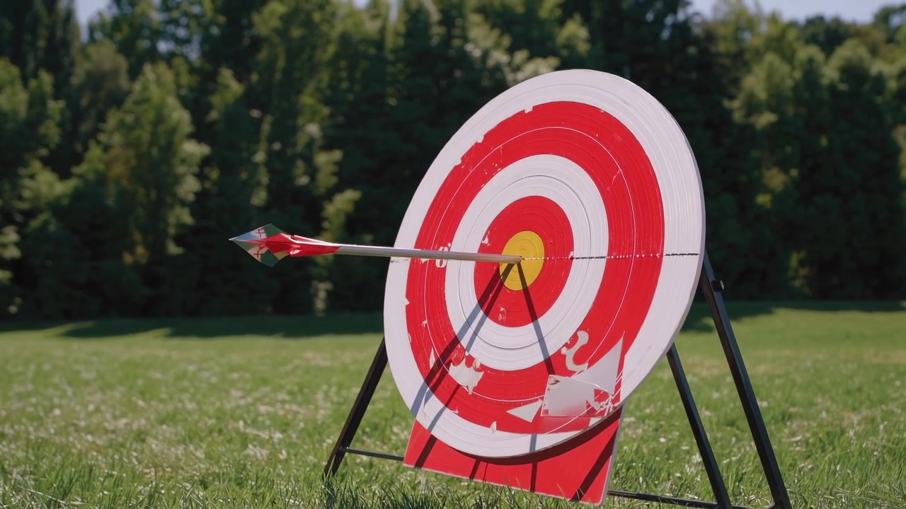 Arrow Hits Bullseye on Archery Target in a Green Field