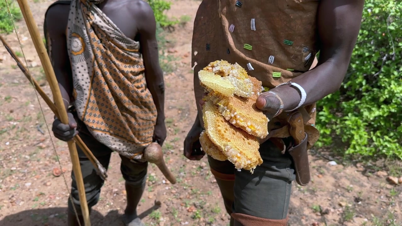 Miele di api selvatiche raccolto da una cavità di un albero dagli uomini Hadzabe. Lago Eyasi, Tanzania.