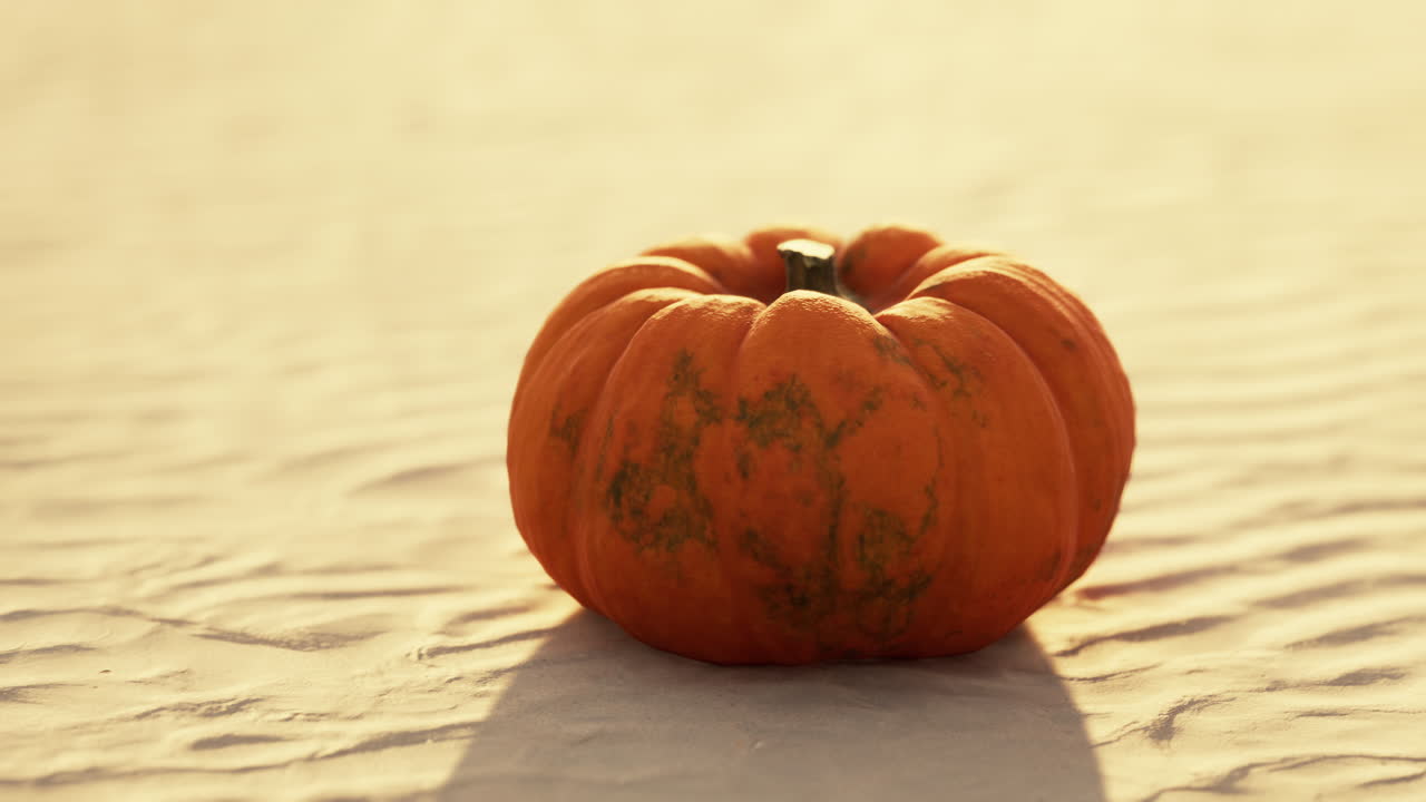 calabaza de halloween en las dunas de la playa