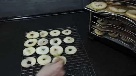 close-up home fruit dehydrator: arranging fresh apple slices in the kitchen