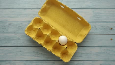 empty egg carton with one egg