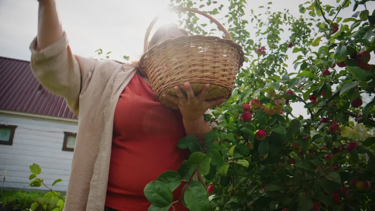 Une récolte joyeuse : une femme cueillant des pommes d’un arbre avec un panier tressé sous un ciel lumineux, capturant l’essence de la nature et des activités de loisirs en plein air