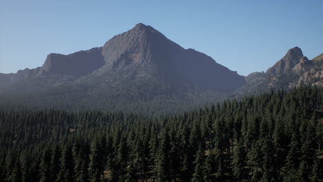 mountain range and pine forest