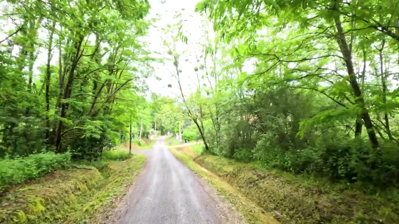 一人称視点で、鬱蒼とした緑の木々に囲まれた狭いアスファルトの道を走行する。