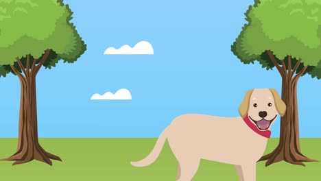 golden retriever mascot in the park animation