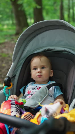 cute caucasian baby boy lying peacefully in the pram. parent taking a child for a walk in the park. nature backdrop. vertical video