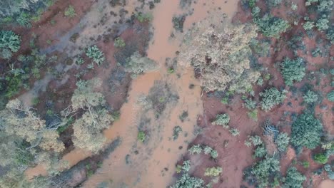 Flying-over-a-flood-creek-with-birds-flying-pas