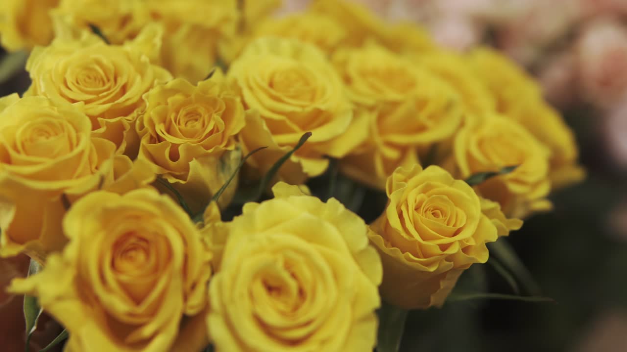 Hermoso ramo de rosas