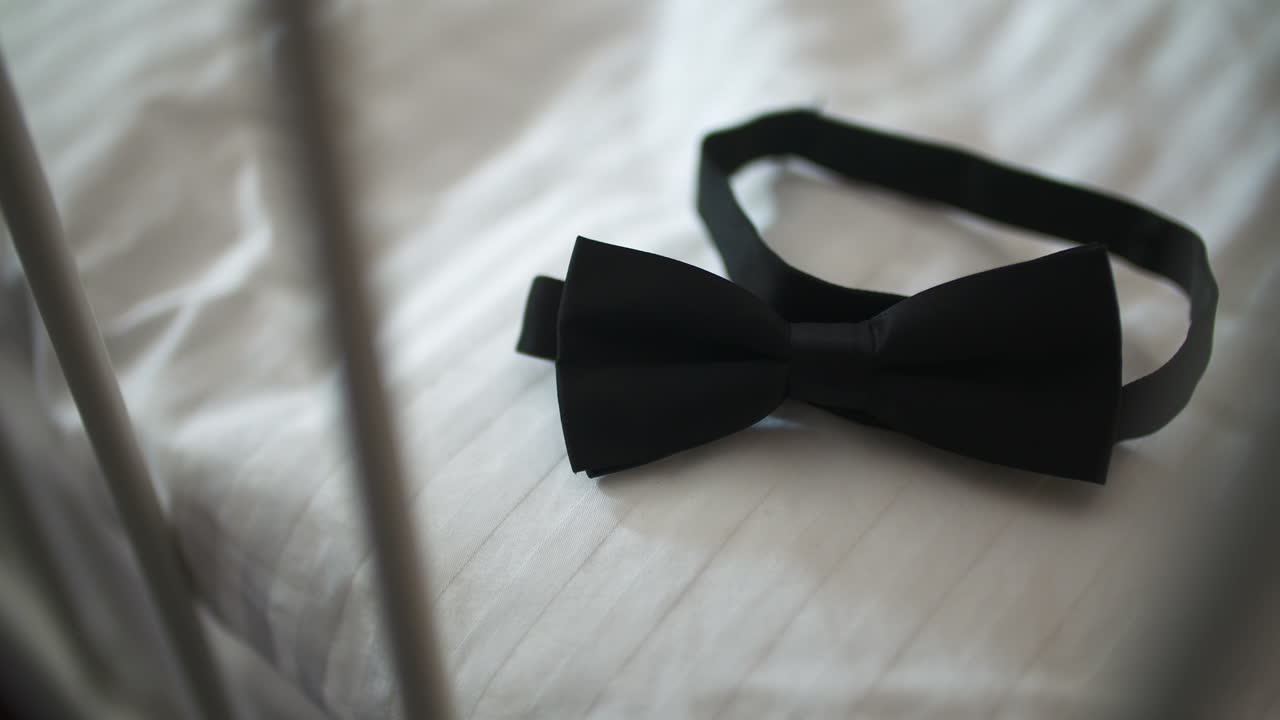 Elegante papillon nero appoggiato su tessuto bianco