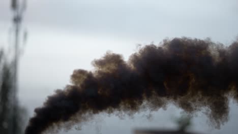 person hold black smoke bomb stick in front the sea