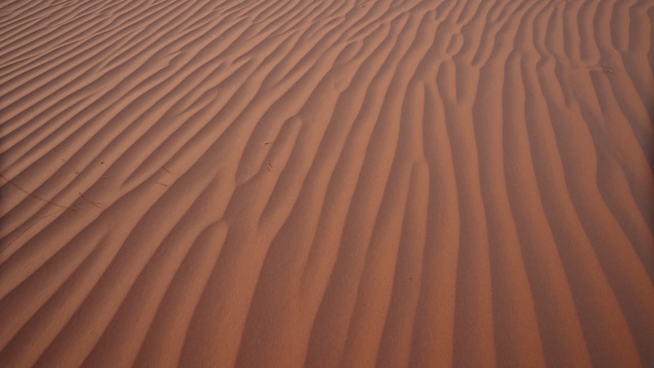 las ondas de arena del desierto bajo una puesta de sol dorada, creando un patrón hipnotizante