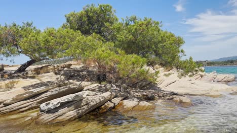 Clean-blue-flag-beaches-of-Halkidiki-Peninsula,-Greece