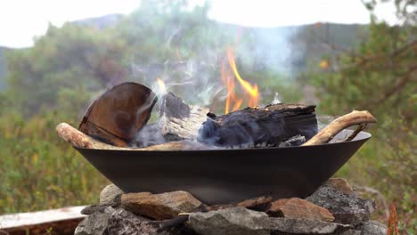 Cozy-campfire-burning-safely-inside-metal-pan---Static-shot-with-shallow-focus-and-blurred-nature-background