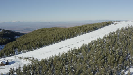 Snow-slope-following-down-to-a-deserted-wooden-hut-surrounded-by-pine-trees