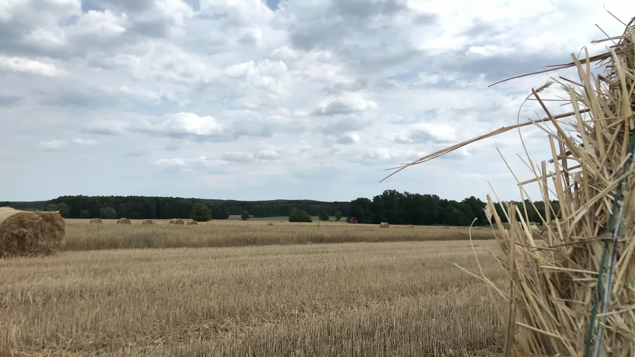 свидетель очаровательной привлекательности соломенных балов в летний день
