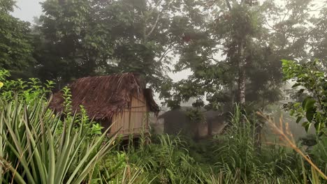 indigenous hut dwelling in the jungle in papua - dolly left on a foggy morning