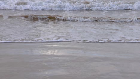 una vista serena de las olas golpeando suavemente en una playa de arena a lo largo de la gran carretera del océano, capturada en la iluminación natural