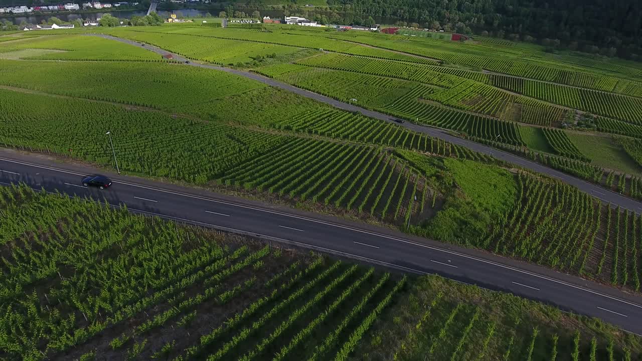 Forward flying drone aerial view of sunlit hop field growing green valley