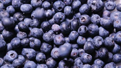 background of freshly picked blueberries perfect for various health and nutrition related projects background of freshly picked blueberries perfect for various health and nutrition related projects