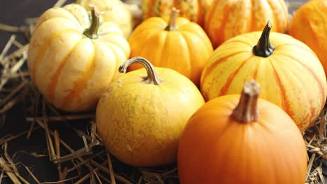 mellow pumpkins laid on hay