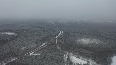 drone flying fog weather above snowy trees with cloudy skies
