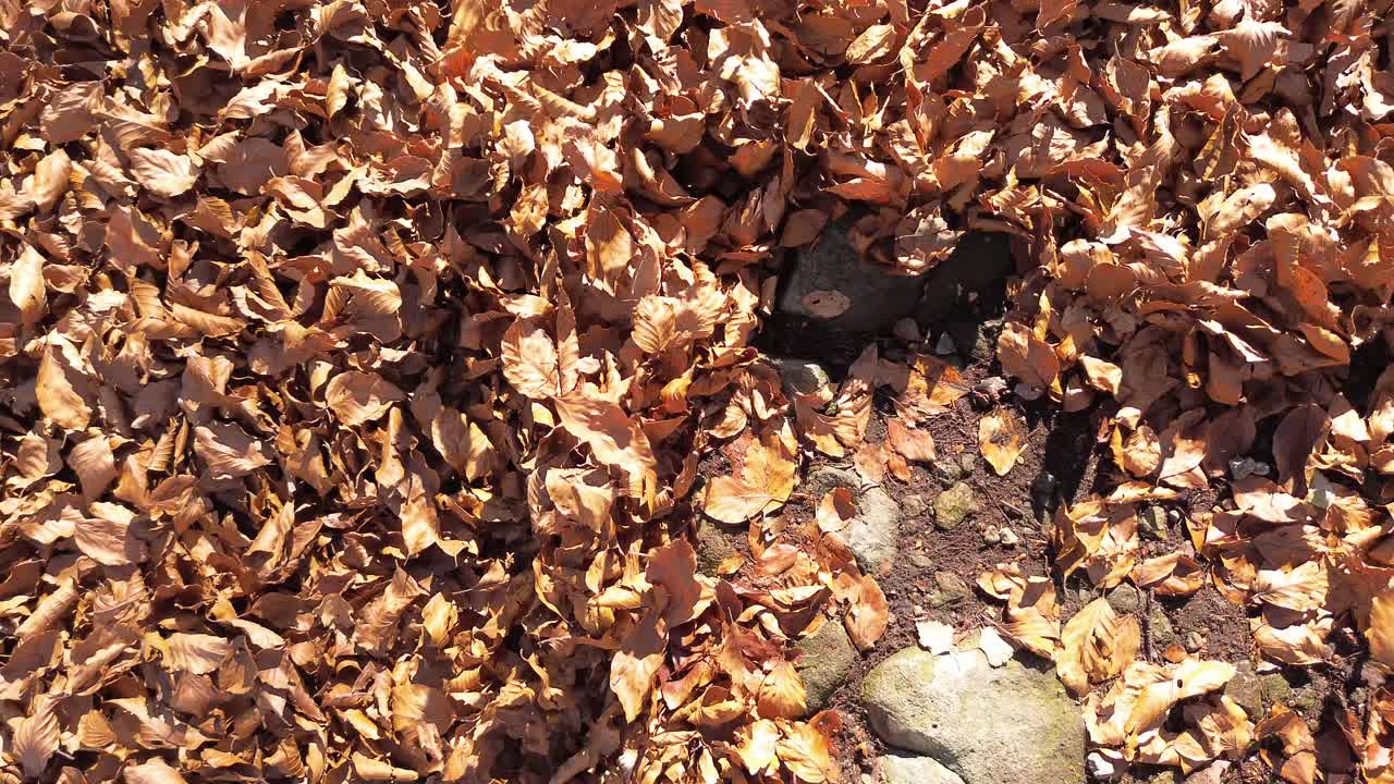 In the mountains the silence is perfect and this time the drone captures the sensations of autumn and the changing of colors that make me feel sad