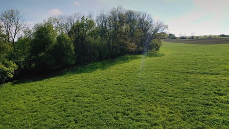 aerial shot with the drone flying forward towards trees above two deers running in a field