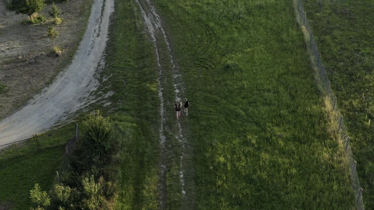 Aerial of two people walking dog on path through countryside field