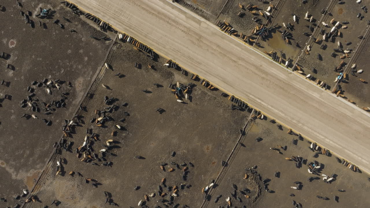 Aerial View of Cattle Farm