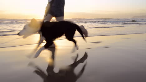 Hombre-Feliz-Corriendo-Perro-En-La-Playa-Estilo-De-Vida-Steadicam-Shot