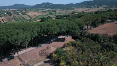 Tracking-Car-Driving-Along-Cerveteri-Countryside-Road-on-Avenue-Surrounded-by-Trees