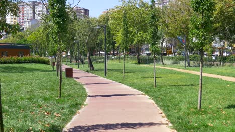 peaceful urban park walkway