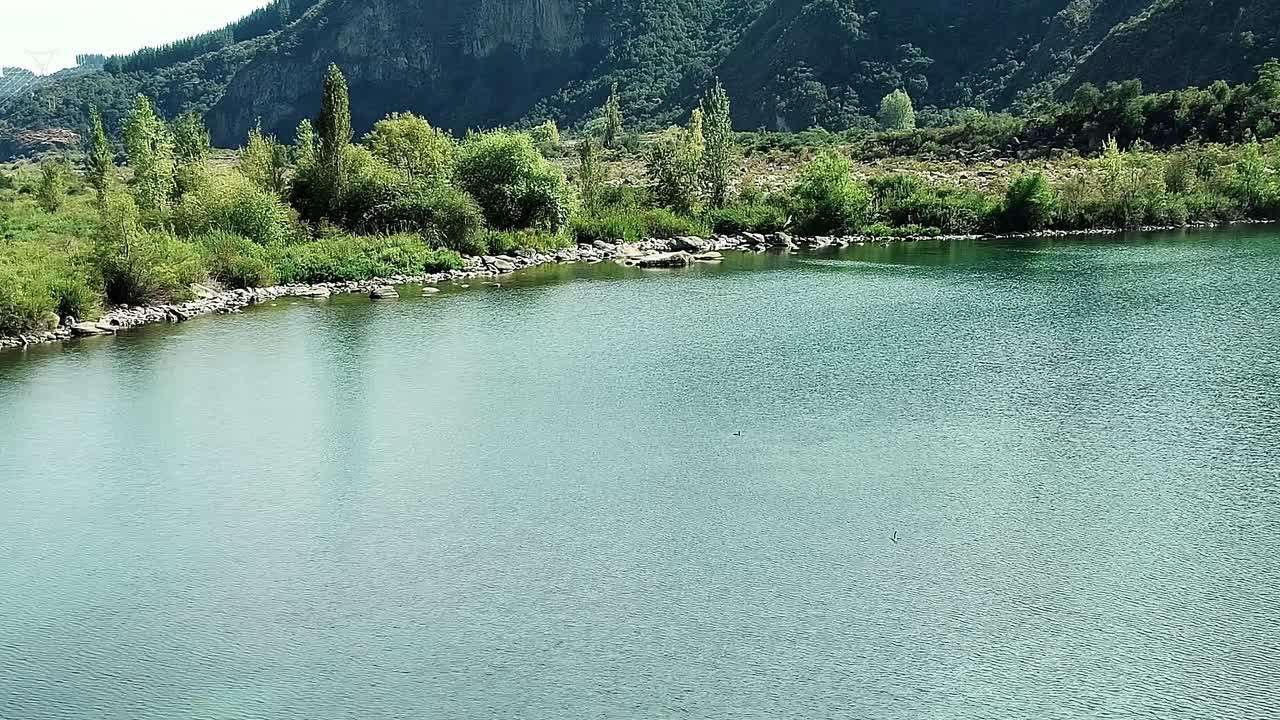 Colbun-søen i Chile byder på en udsigt over natur og vand med grønne træer.
