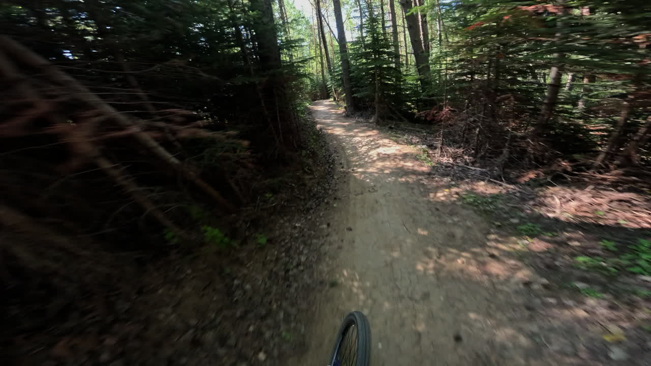POV Mountain Biking on a Dirt Trail in a Green Forest